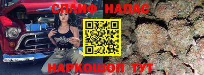 гидра Гусев