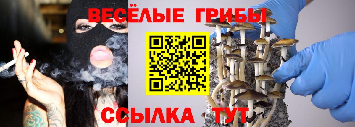 Псилоцибиновые грибы прущие грибы Балтийск